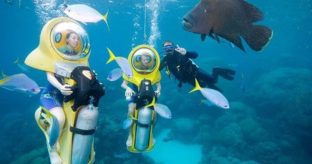 Scuba Scooter & Snorkeling