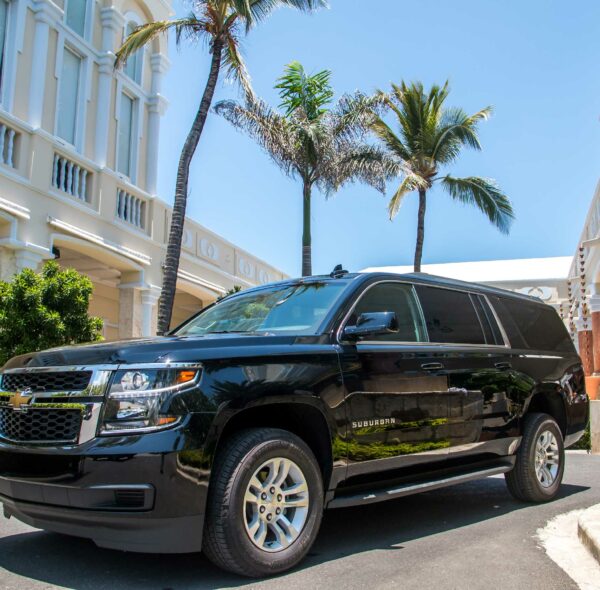 VIP Luxury Transportation