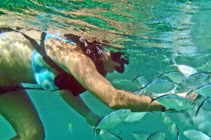 snorke catamaran cruise best punta cana tours