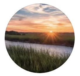 Screen Shot 2020 11 03 At 8.57.49 PM