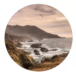 Screen Shot 2020 11 03 At 9.04.23 PM