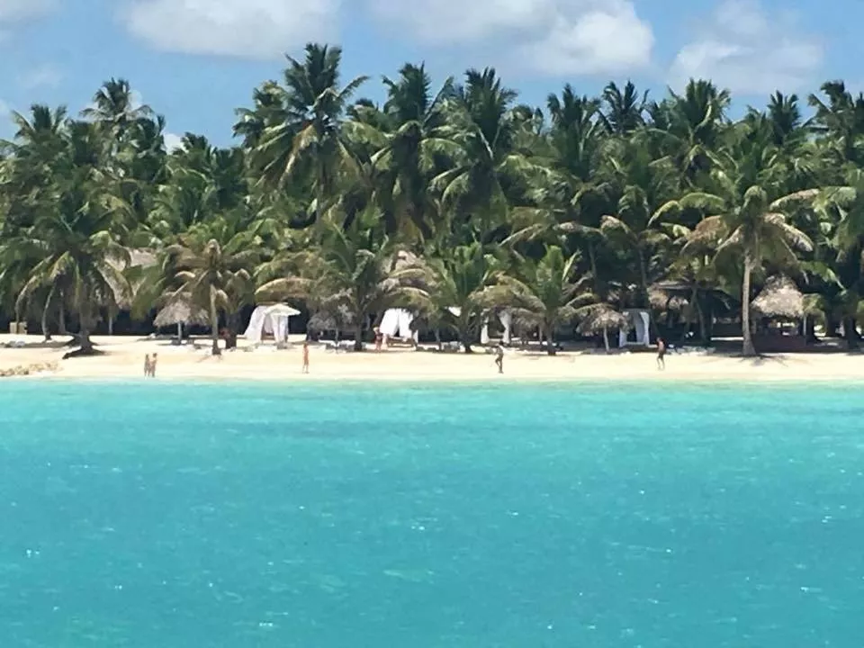 60976684 642544812883873 9024800073669672960 N