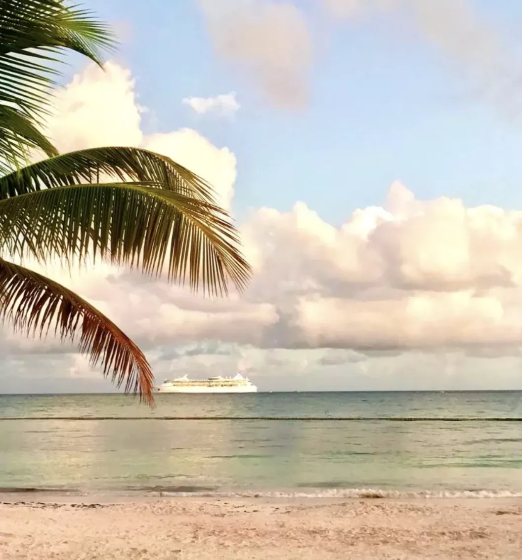 Screen Shot 2020 11 03 At 6.22.58 PM