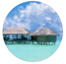 Screen Shot 2020 11 03 At 9.13.23 PM