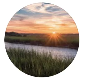 Screen Shot 2020 11 03 At 9.15.21 PM