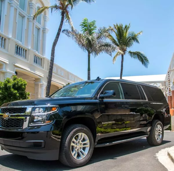 VIP Luxury Transportation